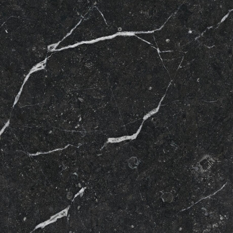 Glazed Porcelain Floor Tile 60x120, Black with Gold Veins, Glossy, Rectified A4H109 Pierre Black #15