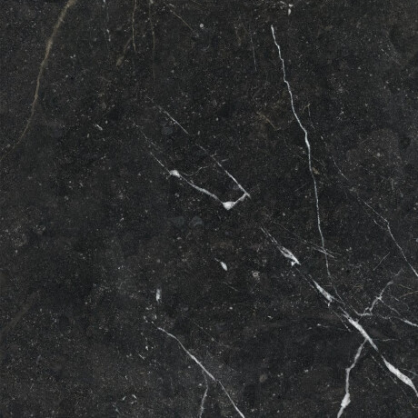 Glazed Porcelain Floor Tile 60x120, Black with Gold Veins, Glossy, Rectified A4H109 Pierre Black #21