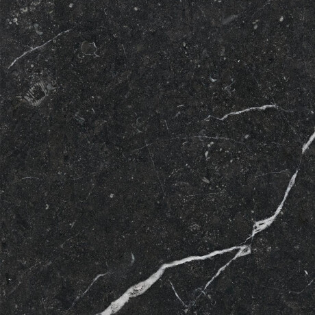 Glazed Porcelain Floor Tile 60x120, Black with Gold Veins, Glossy, Rectified A4H109 Pierre Black #32