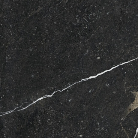 Glazed Porcelain Floor Tile 60x120, Black with Gold Veins, Glossy, Rectified A4H109 Pierre Black #38