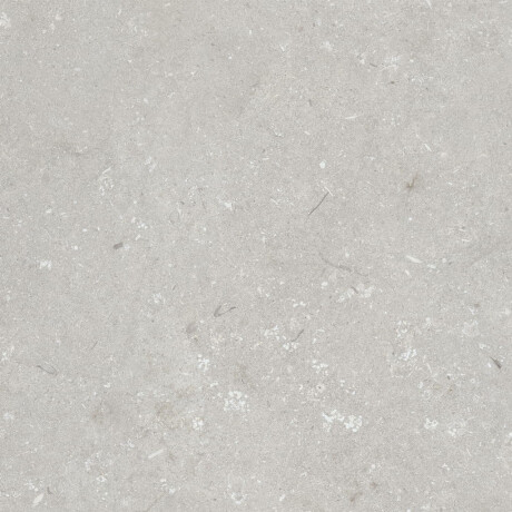 60x120 cm Floor Porcelain Tile, Light Gray Matte, A4H1093 Shellstone Bianco #3