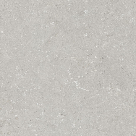 60x120 cm Floor Porcelain Tile, Light Gray Matte, A4H1093 Shellstone Bianco #4