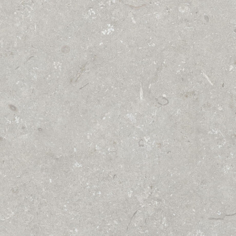60x120 cm Floor Porcelain Tile, Light Gray Matte, A4H1093 Shellstone Bianco #5