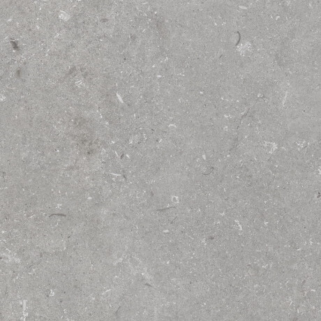 60x120 cm Floor Porcelain Tile, Matte Gray, A4H1096 Shellstone Grigio #4