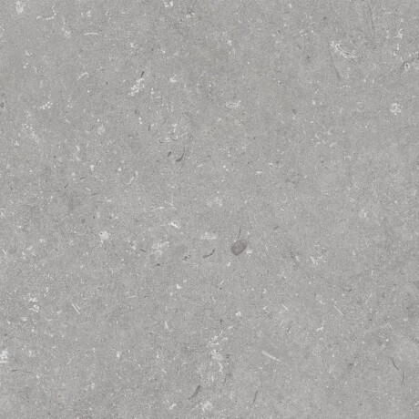 60x120 cm Floor Porcelain Tile, Matte Gray, A4H1096 Shellstone Grigio #5