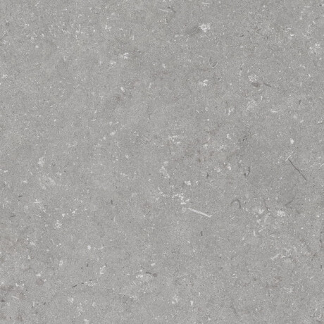 60x120 cm Floor Porcelain Tile, Matte Gray, A4H1096 Shellstone Grigio #7