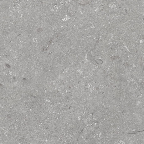 60x120 cm Floor Porcelain Tile, Matte Gray, A4H1096 Shellstone Grigio #8