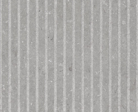 60x120 cm Matte Gray Wall Tile A4H1097 Shellstone Grigio Rigat-One