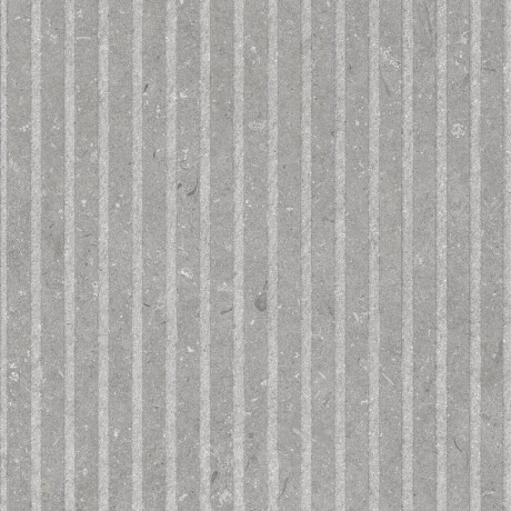 60x120 cm Matte Gray Wall Tile A4H1097 Shellstone Grigio Rigat-One #1