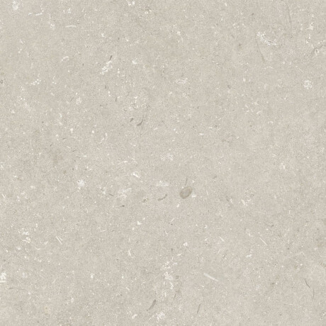 60x120 cm Beige Matte Floor Tile A4H1099 Shellstone Beige #4