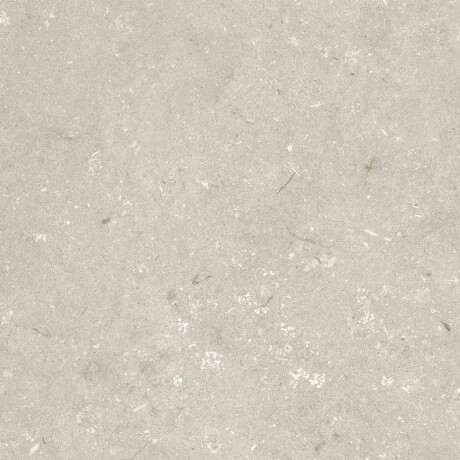 60x120 cm Beige Matte Floor Tile A4H1099 Shellstone Beige #5