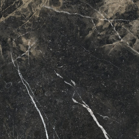 Glazed Floor Tile 60x120 with Gold Veins, Matte, Rectified, A4H110 Pierre Black #13