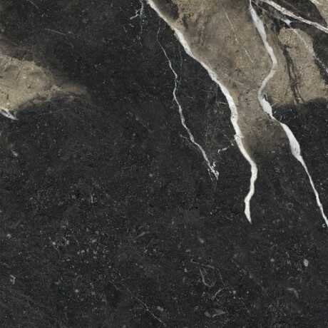 Glazed Floor Tile 60x120 with Gold Veins, Matte, Rectified, A4H110 Pierre Black #14