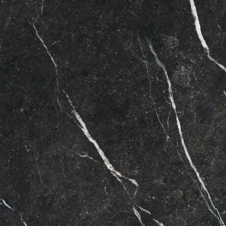 Glazed Floor Tile 60x120 with Gold Veins, Matte, Rectified, A4H110 Pierre Black #16