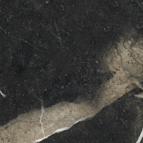 Glazed Floor Tile 60x120 with Gold Veins, Matte, Rectified, A4H110 Pierre Black #18