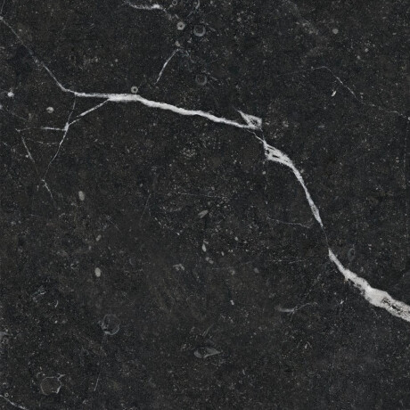 Glazed Floor Tile 60x120 with Gold Veins, Matte, Rectified, A4H110 Pierre Black #19