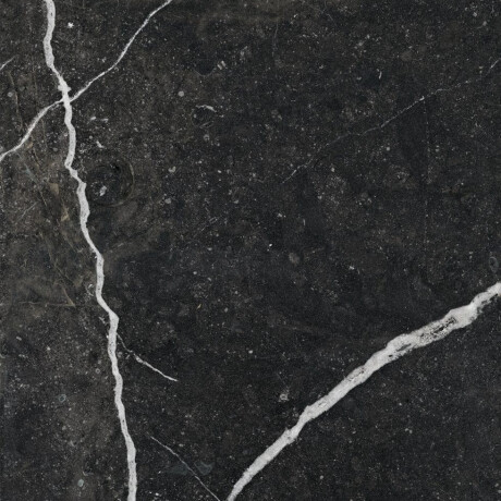 Glazed Floor Tile 60x120 with Gold Veins, Matte, Rectified, A4H110 Pierre Black #22