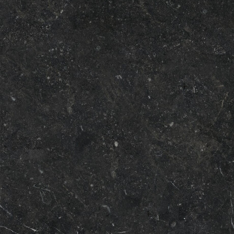 Glazed Floor Tile 60x120 with Gold Veins, Matte, Rectified, A4H110 Pierre Black #25