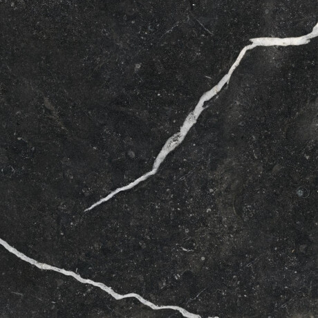 Glazed Floor Tile 60x120 with Gold Veins, Matte, Rectified, A4H110 Pierre Black #29