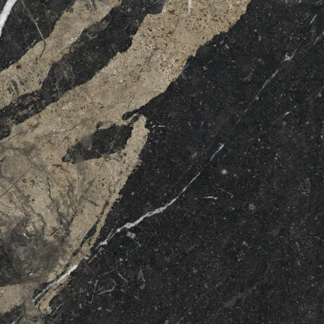Glazed Floor Tile 60x120 with Gold Veins, Matte, Rectified, A4H110 Pierre Black #32