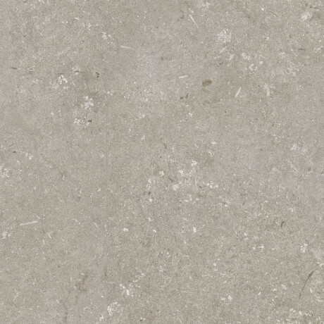 60x120 cm Taupe Matte Floor Tile A4H1102 Shellstone Taupe #5