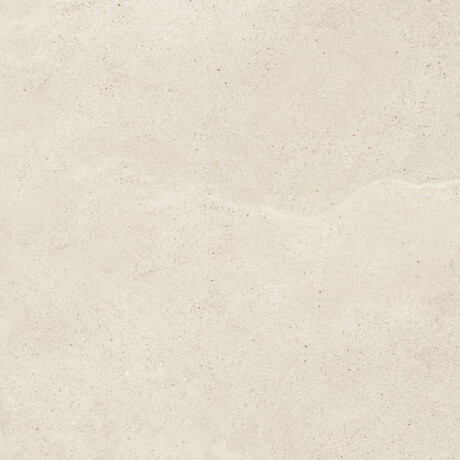 Floor tiles, 60.5 x 120.5, gray-beige taupe, matte stone, A4H485 Fusion Brown #3