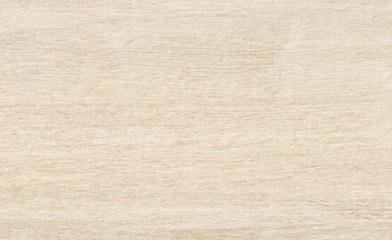 Wood-look floor tiles, 23x120, in light amber matte, A4H503 Amberly Light