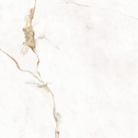 60x120 Floor Porcelain Tile, Marble with Warm-Toned Veins, Glossy Finish A4H521 Dubai Gold #5