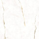 120x120 floor tile, marble with warm-toned veins, glossy finish, A4H522 Dubai Gold #6