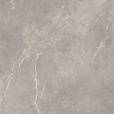 Glazed Porcelain Floor Tile, 60x120 cm, Matte Gray, Rectified, A4H84 Iroc Greige #8