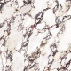 Large-format 120x280 porcelain tile, marble with purple veins, glossy finish, A4H840 Calakatta Wiola #6
