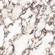 Large-format 120x280 porcelain tile, marble with purple veins, matte finish, A4H844 Calakatta Wiola #1