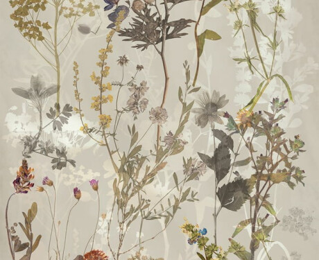 60x120 cm gray wall tile with floral patterns, matte finish, A4H919 Glame