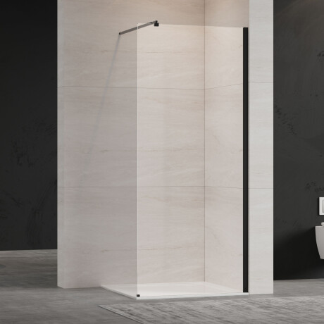 Walk-in cabin transparent glass black profile #2