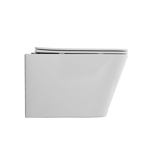 PAROS flushless toilet bowl white with free-flush board #4