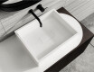 CAPRI Sink