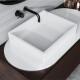 CAPRI Sink #3