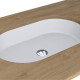 ROME MIRASOFT Sink #2