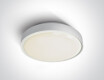 RAFTI EA Ceiling Light 2x12W  IP65 Black