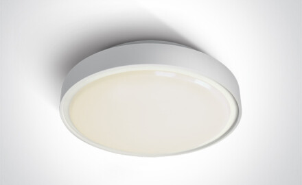 RAFTI EA Ceiling Light 2x12W  IP65 Black