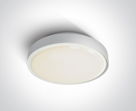 RAFTI EA Ceiling Light 2x12W  IP65 Black