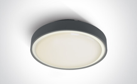 RAFTI EA Ceiling Light 2x12W, IP65, White
