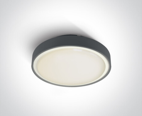 RAFTI EA Ceiling Light 2x12W, IP65, White