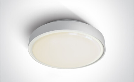 RAFTI E 12W Ceiling Light, IP65, Gray