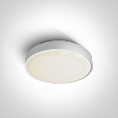 RAFTI E 12W Ceiling Light, IP65, Gray #1