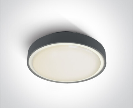 RAFTI E 12W Ceiling Light, IP65, White
