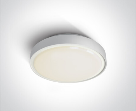 RAFTI N Ceiling Light 16W 3000K IP65 Gray