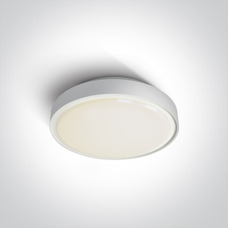 RAFTI N Ceiling Light 16W 3000K IP65 Gray #1