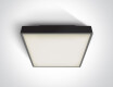 PIRNARI EA Ceiling Light 2x12W E27 IP65 Anthracite