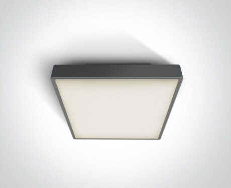 PIRNARI EA Ceiling Light 2x12W E27 IP65 White